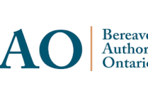 BAO logo